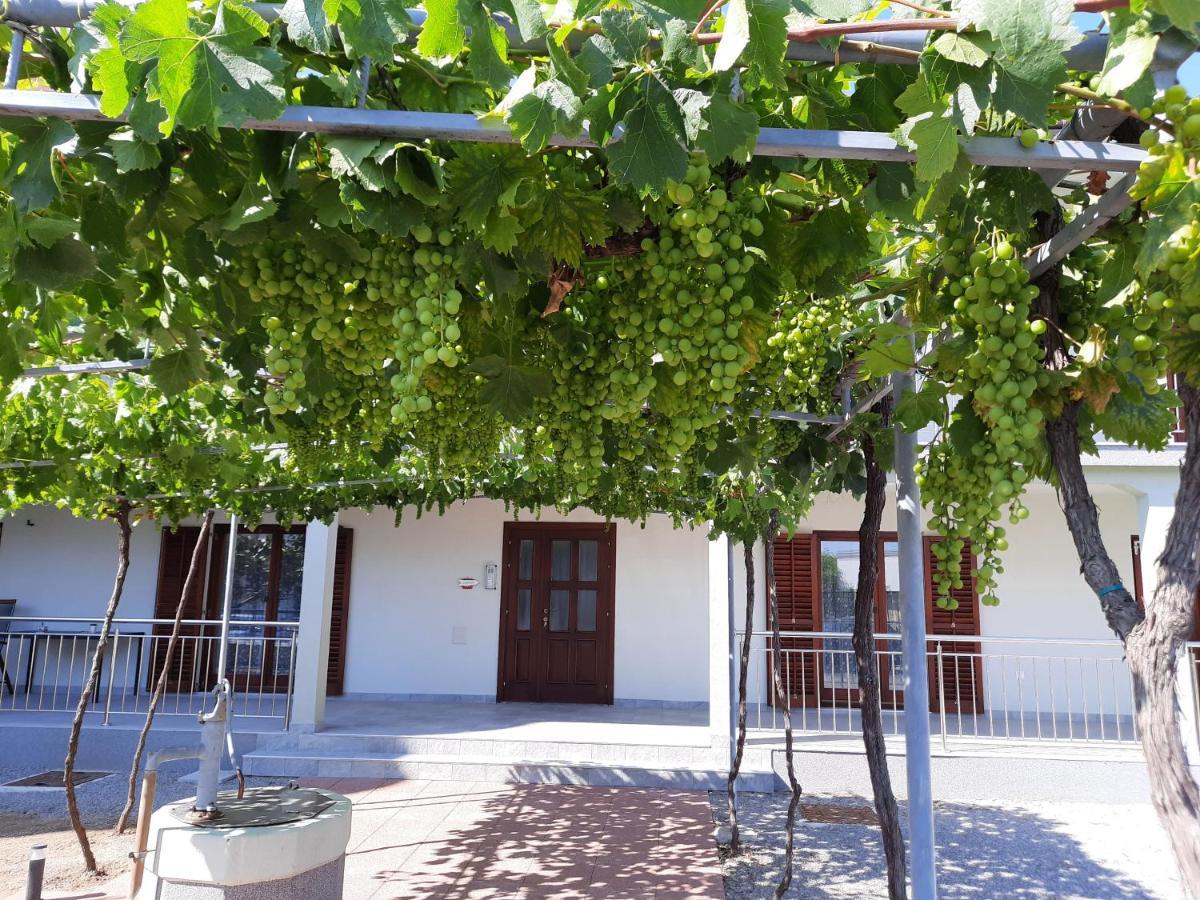 Green House Apartments Novi Vinodolski Kültér fotó